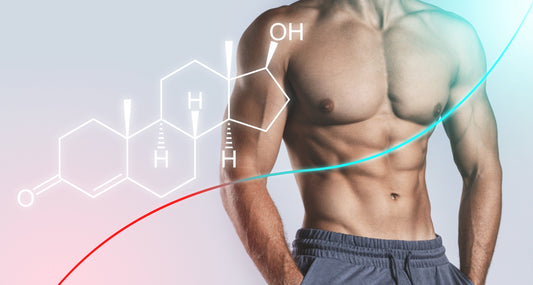 Does Shilajit Increase Testosterone?